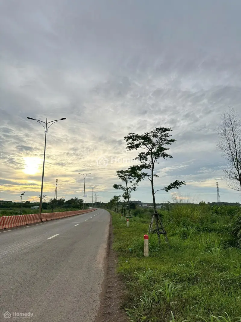 Bán Lô Đất 322M2 Siêu Đẹp Ngay Mặt Tiền Quốc Lộ 55 Thị Trấn Đất Đỏ, Bà Rịa Vũng Tàu