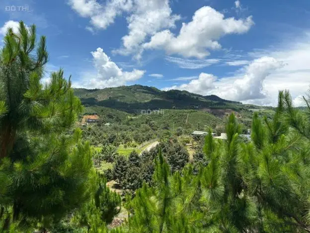 6000M² Đất Qh Thổ Cư Mặt Tiền B'lao Xê Rê, View 360, Khu Dân Cư Hiện Hữu, Phường 3, Tp Bảo Lộc