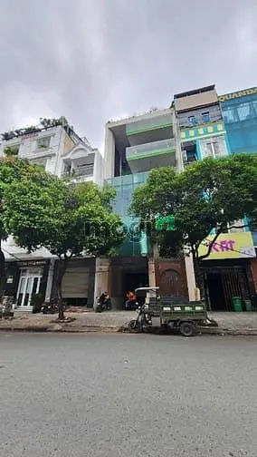 Cho Thuê Tòa Nhà 19 Trần Nguyên Đán, Pn. Dt: 8X22M, Kc: Hầm 6 Tầng Tm