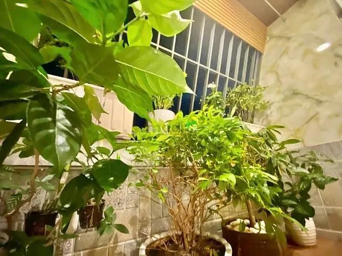 Cho Thuê Căn Hộ Penhouse Duplex Cảnh Viên, 4Pn Nhà Đẹp Phú Mỹ Hưng