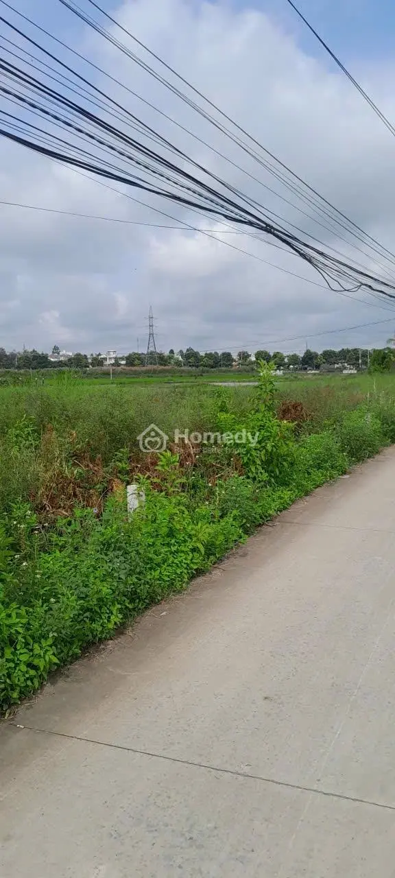 Bán Nhanh Đất Bến Lức - Cách Ql 1A 300M - 1288M2 (53X25) - Full Thổ Cư - Giá 13 Triệu/M2, Shr