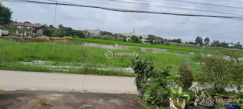 Bán Nhanh Đất Bến Lức - Cách Ql 1A 300M - 1288M2 (53X25) - Full Thổ Cư - Giá 13 Triệu/M2, Shr