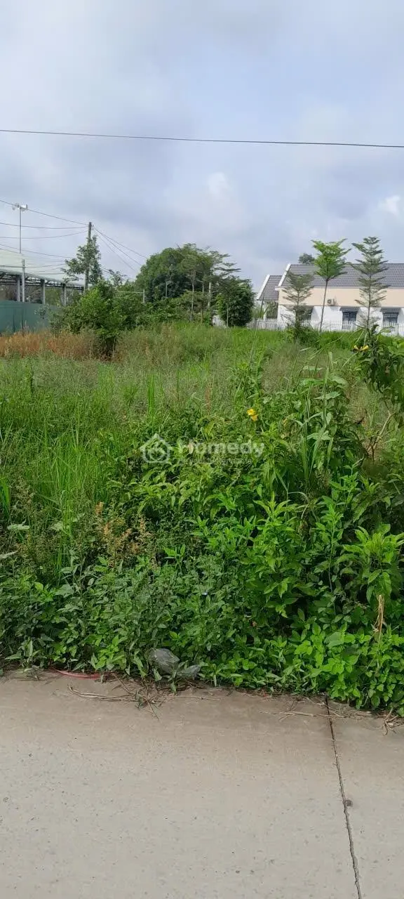 Bán Nhanh Đất Bến Lức - Cách Ql 1A 300M - 1288M2 (53X25) - Full Thổ Cư - Giá 13 Triệu/M2, Shr