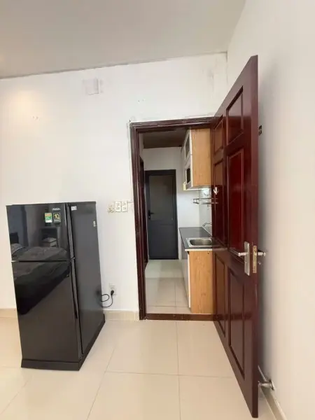 Căn Hộ Dịch Vụ/Studio Full Nt Quận 7 Kdc Ven Sông Gần Tdtu, Rmit, Phú Mỹ Hưng, Tiện Qua Trung Sơn,Q8