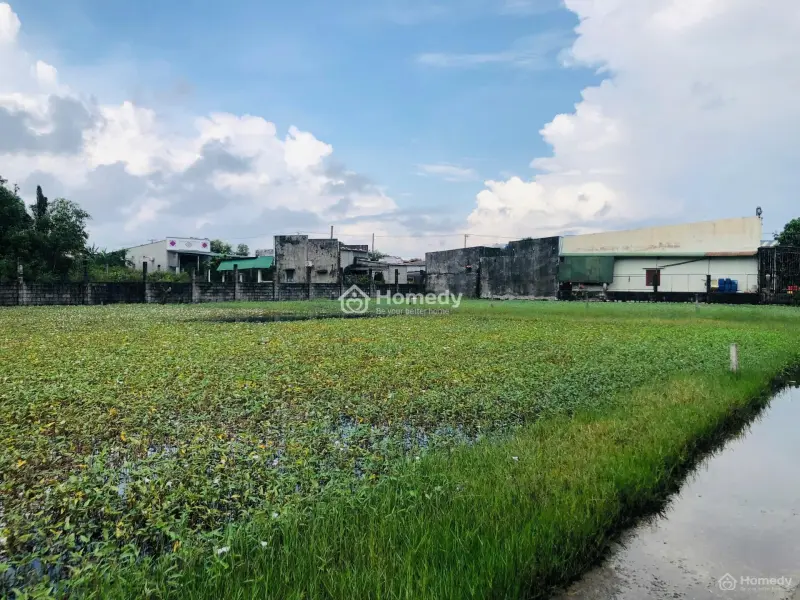 5X30(146M2) Full Thổ Cư, Hẻm Lê Minh Công Tân Phước Lagi Gần Biển Giá 1 Tỷ