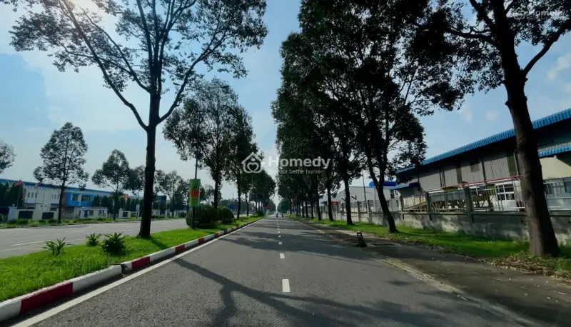 Đất Nền Trung Tâm Bầu Bàng Giá Đầu Tư Siêu Lời