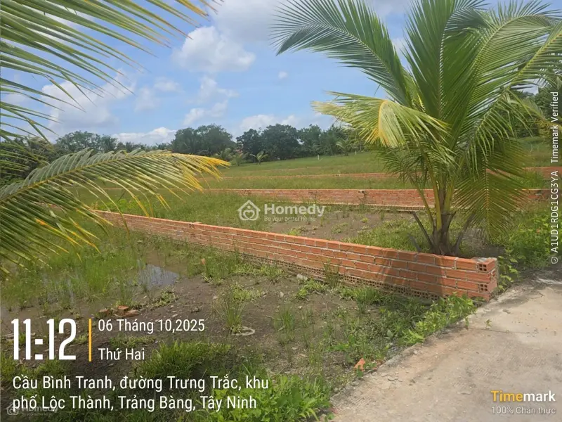 Bán 600M² Đất Vườn Có Sẵn 120M Thổ Cư/ Giá 1Tỷ2 Ngay Tt Trảng Bàng. Quy Hoạch Đất Ở Đô Thị