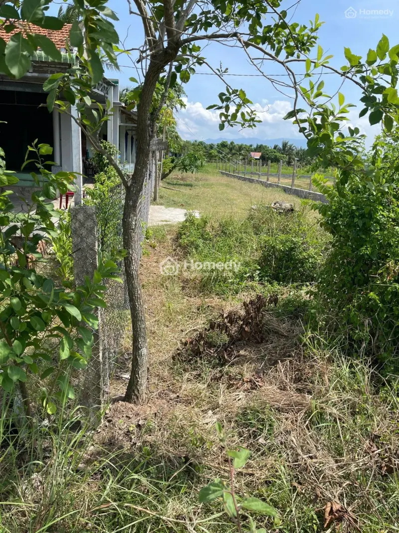 Bán Đất Trục Chính Sơn Lộc, Ninh An, Nay Xã Là Bắc Ninh Hòa