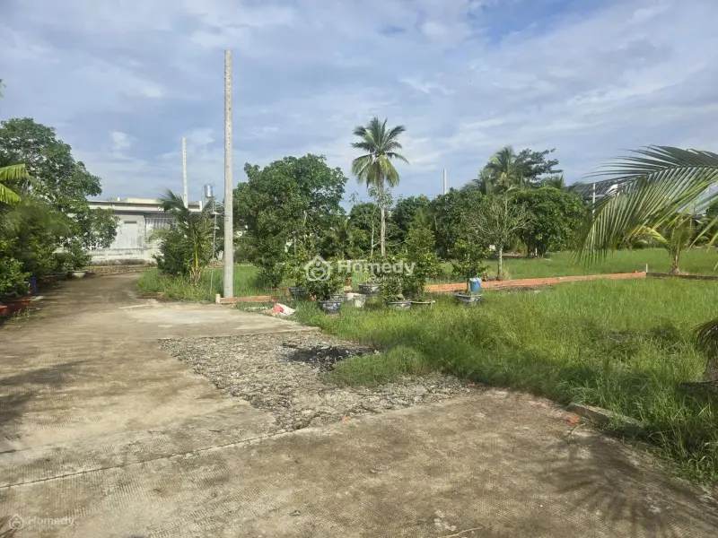 Bán 600M² Đất Vườn Có Sẵn 120M Thổ Cư/ Giá 1Tỷ2 Ngay Tt Trảng Bàng. Quy Hoạch Đất Ở Đô Thị