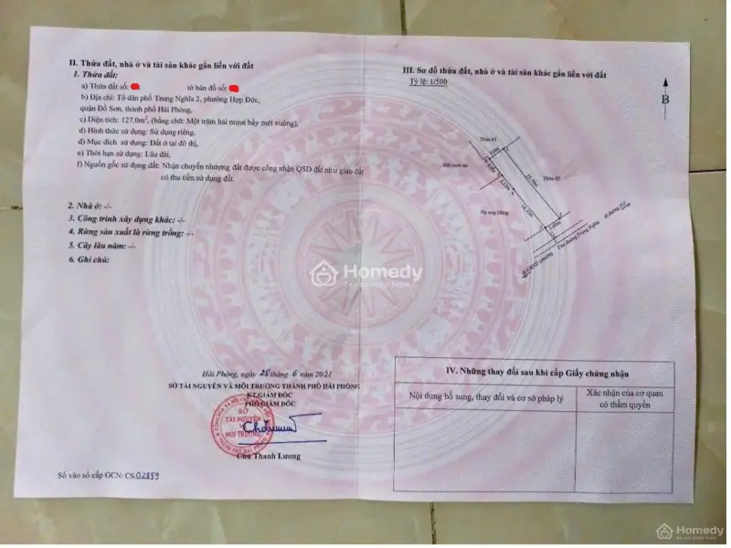 Đất Thổ Cư Đồ Sơn Sổ Hồng Lâu Dài 127M² – Vị Trí Đẹp, Mặt Đường 8M