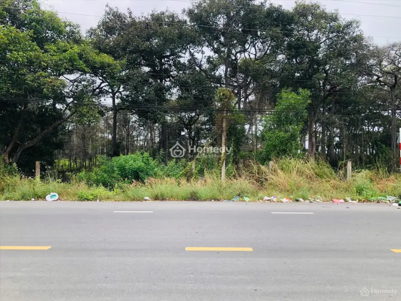 Bán 6M X 16M Đất Odt Mặt Tiền Nguyễn Tri Phương - Tân Bình -Lagi Giá Gốc Gần Biển