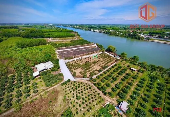 Bán 1608M2 Đường Đa Lộc – Bình Lợi ( Cũ) Giá 7 Tỷ Đã Setup Sẵn Bờ Kè