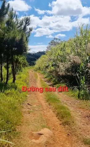 🌿Lô Đất 540M² (200M² Thổ Cư) – Mặt Tiền Đường Chính Hồ Ngọc, Bảo Lộc