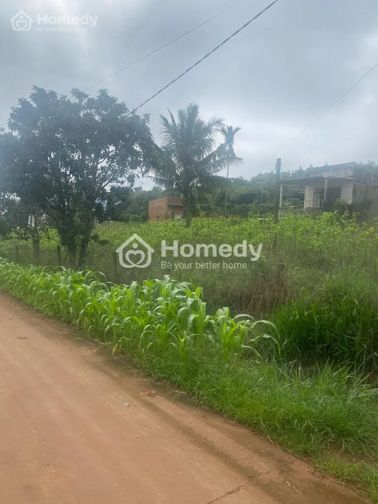 Cần Bán Nhà Và Đất