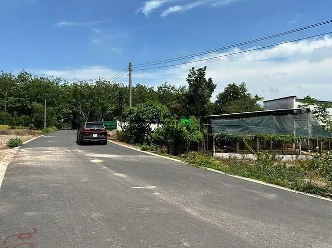 Bán Đất Long Tân Dầu Tiếng 249M² – Tiện Ích Xung Quanh Đầy Đủ, Hạ Tầng