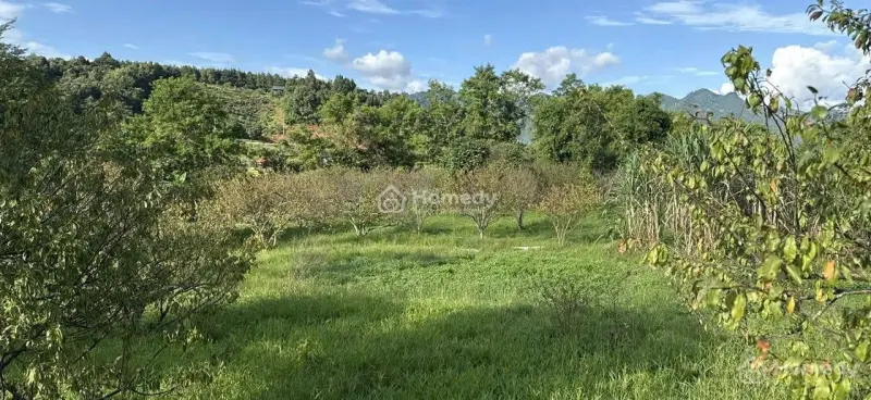 Mặt Tiền Rộng, View Siêu Đẹp, Có Sẵn Nhà Sàn Nằm Trong Khu Du Lịch Cộng Đồng