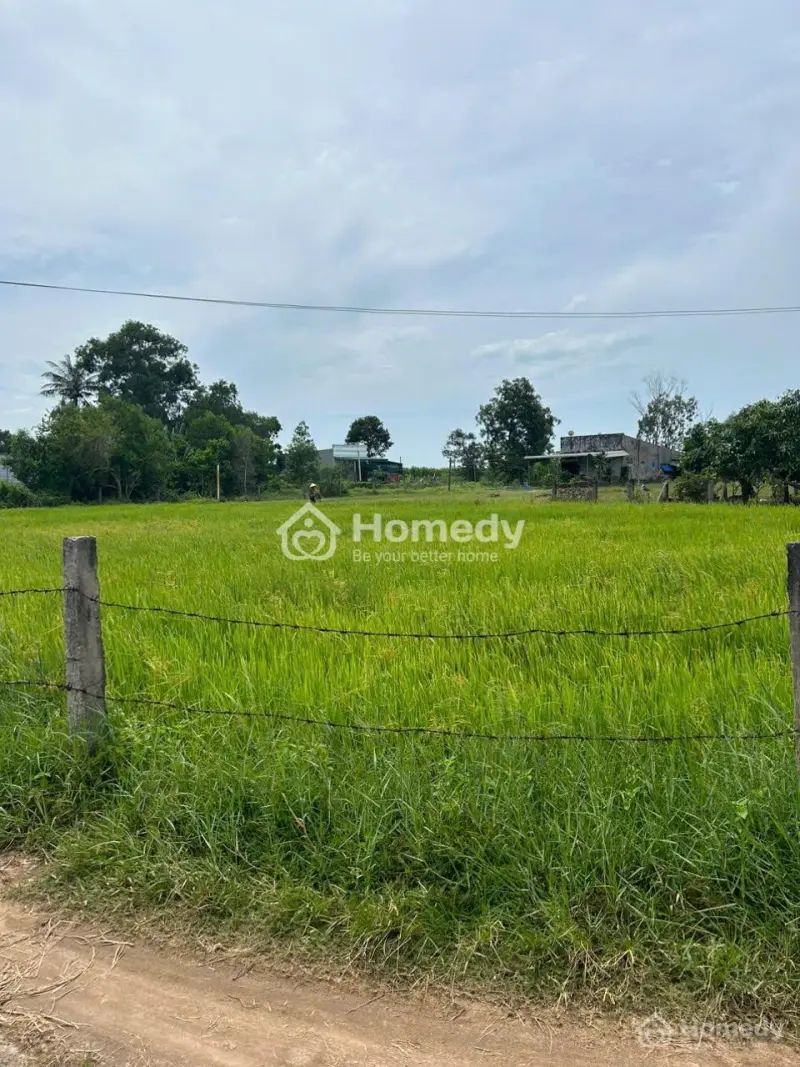 Bán Đất Ont 9.5M X 26M Hẻm Lý Thái Tổ - Tân Hải - Lagi Giá Ngộp 900 Triệu