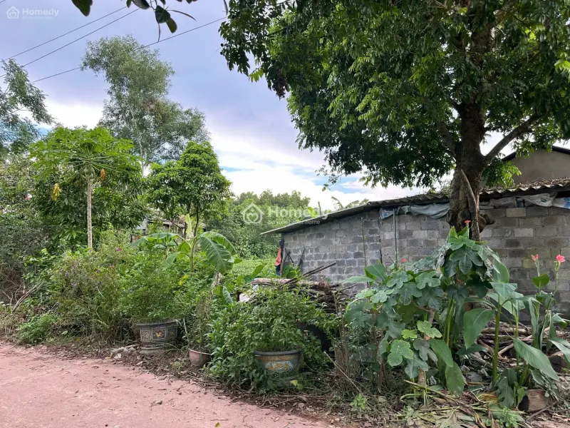 Lô Đất Tại Xóm Đồi Chè, Xã Phúc Trìu (Cũ), T.thái Nguyên