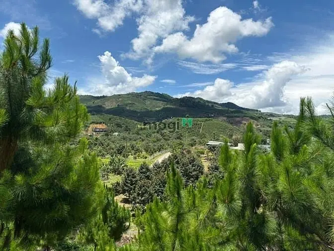 6000M² Đất Qh Thổ Cư Mặt Tiền B'lao Xê Rê, View 360, Khu Dân Cư