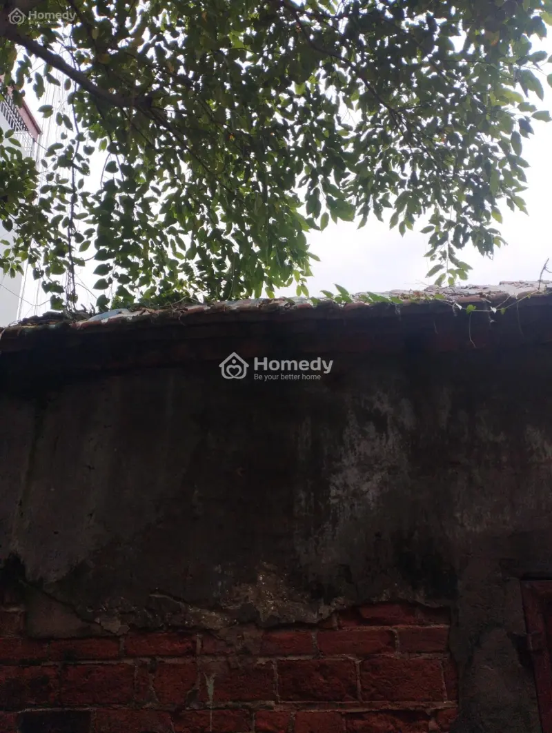 Bán 42.3M Đất Siêu Quần Xã Đại Thanh Mới Sổ Đỏ 3.65 Tỷ