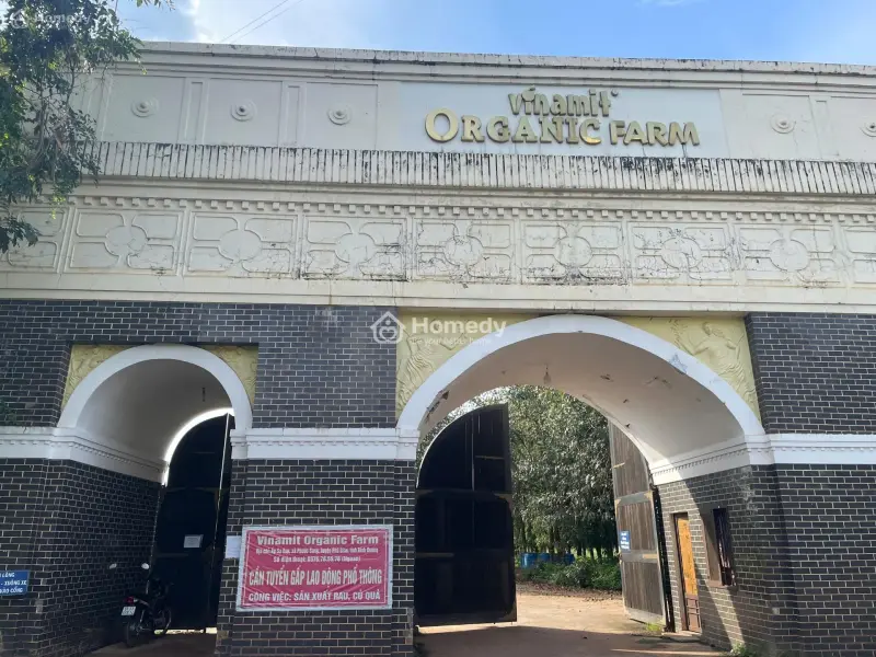 Lô Góc 505M², Mặt Tiền Đường Nhựa 32M, Ngay Chợ, Sổ Hồng Riêng, Thổ Cư Giá Chỉ 200 Triệu.