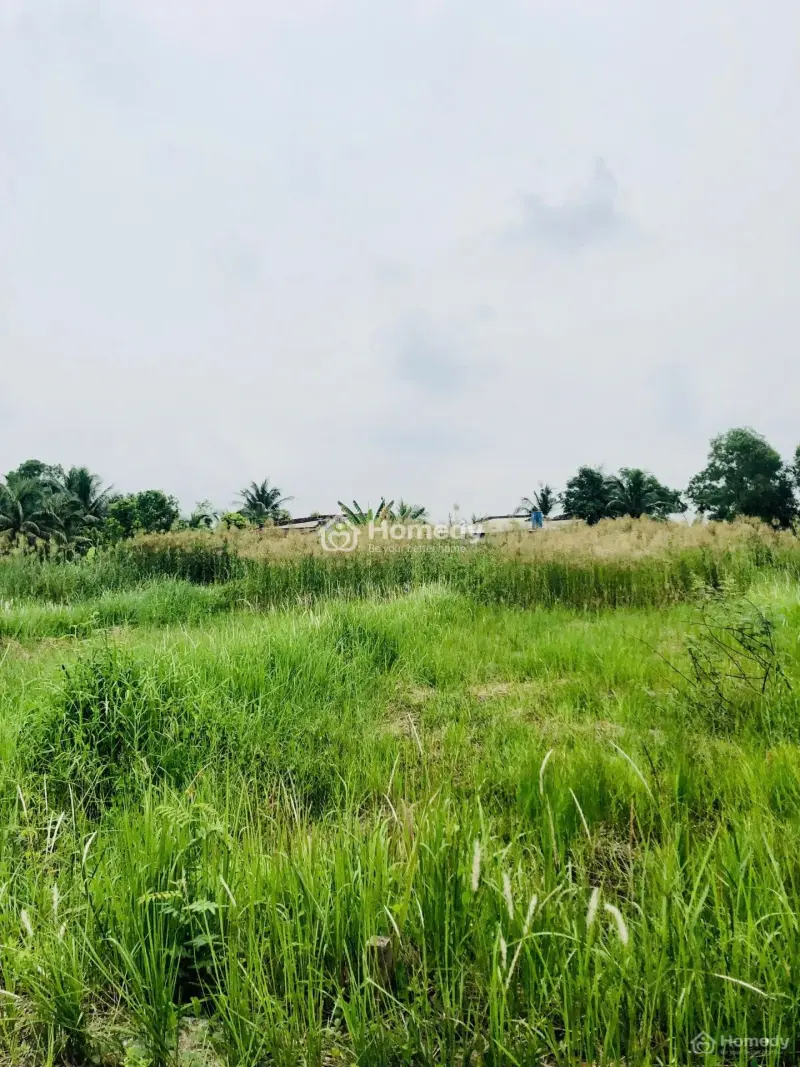 🌿 Bán Đất Full Thổ Cư 100M2 Đức Hoà Đông – Mặt Tiền Đường Dt823D | Giá Chỉ 1,6 Tỷ/Nền