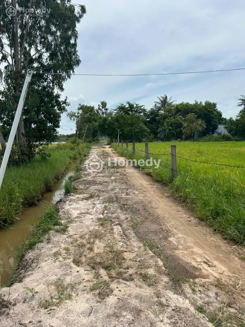 Bán Đất Ont 9.5M X 26M Hẻm Lý Thái Tổ - Tân Hải - Lagi Giá Ngộp 900 Triệu