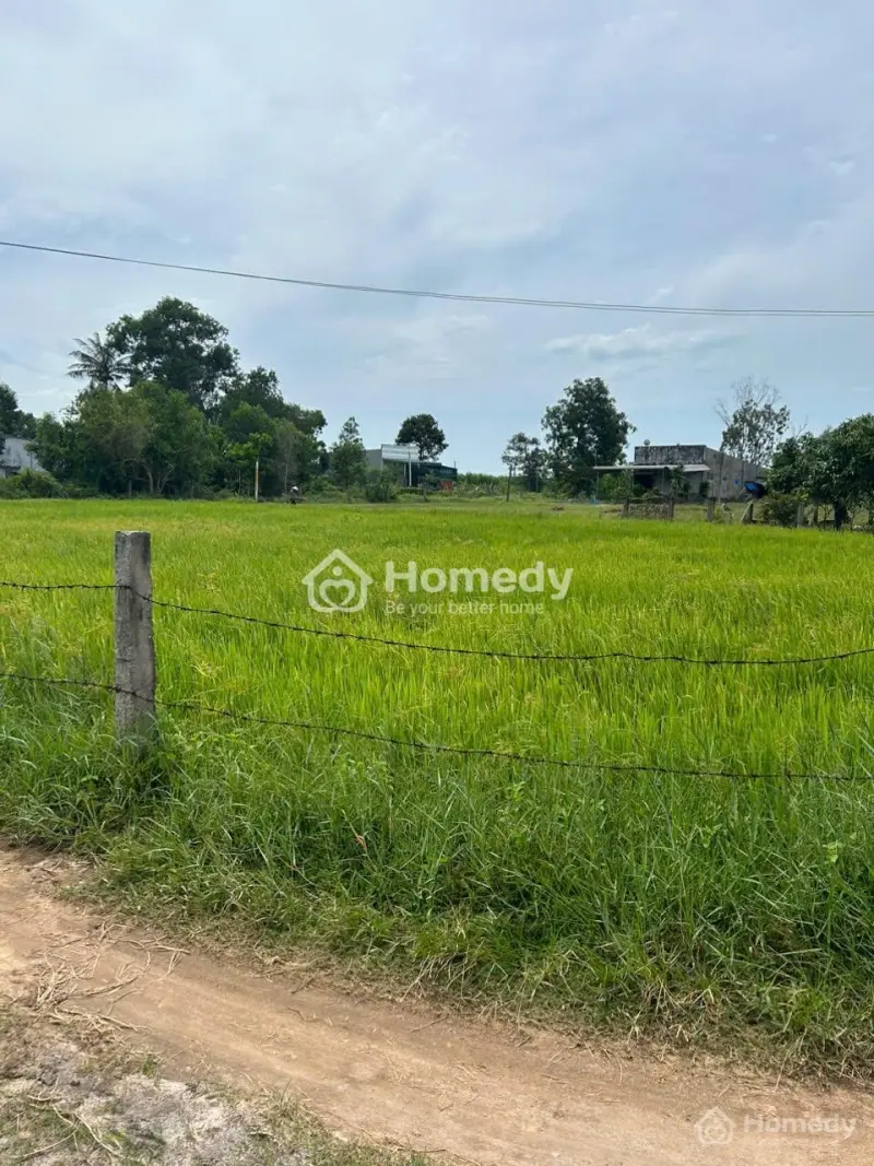 Bán Đất Ont 9.5M X 26M Hẻm Lý Thái Tổ - Tân Hải - Lagi Giá Ngộp 900 Triệu