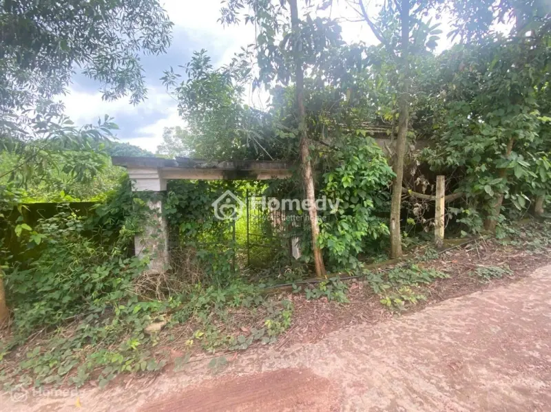 Siêu Phẩm Đất Nghỉ Dưỡng 2 Mặt Tiền Lục Nam Bắc Giang