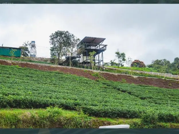 🏡Lô Đất 102M² Full Thổ Cư – Hạ Tầng Hoàn Chỉnh, Trung Tâm Bảo Lộc