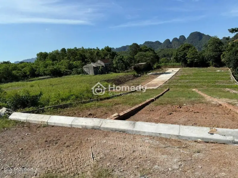 🌟 Bỏ Lỡ Là Mất –Lô Đất “Giá Tốt Nhất Năm 2025”! 🌟