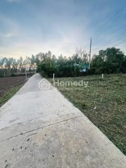 Ngợp Bank Bán Gấp Lô Đất 9X27 Gần Kcn Phúc Long Bến Lức - Giảm Sâu Còn 15Tr/M2, Shr