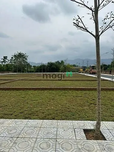 Cực Đẹp - Bán Đất Khu Tái Định Cư Vai Réo – Phú Cát, Hòa Lạc