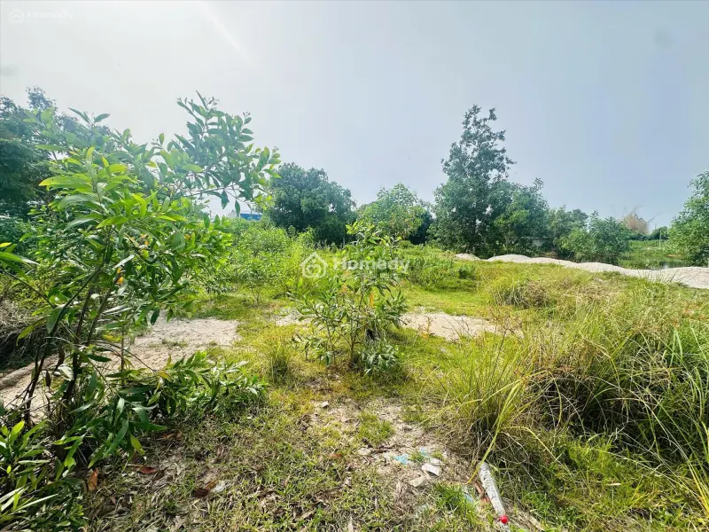 Bán Đất Odt Mặt Tiền Lê Minh Công - Phước Lộc - Lagi Giảm 40% Chỉ 1.7 Tỷ