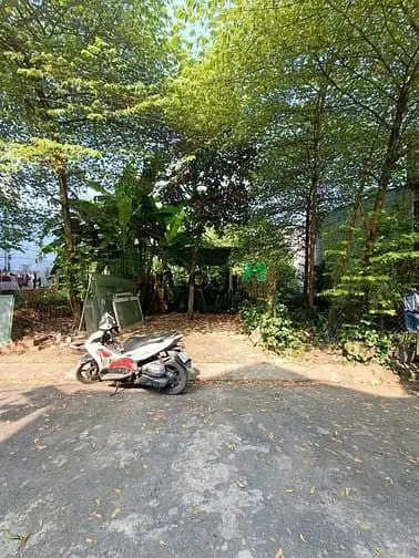 🆘Chính Chủ Gửi Bán Đất 5X19M, Đường Dương Công Khi Xa Xuân Thới Sơn