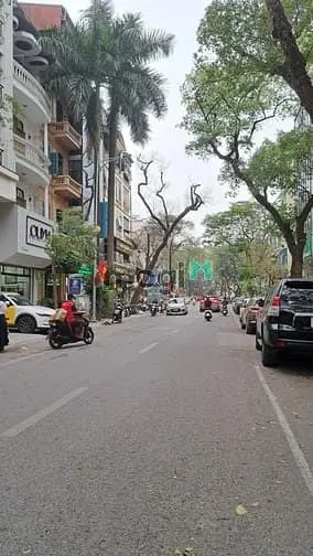 Bán Mặt Phố Thi Sách | 110M2 X 8 Tầng | Mt 5M | Giá 118 Tỷ