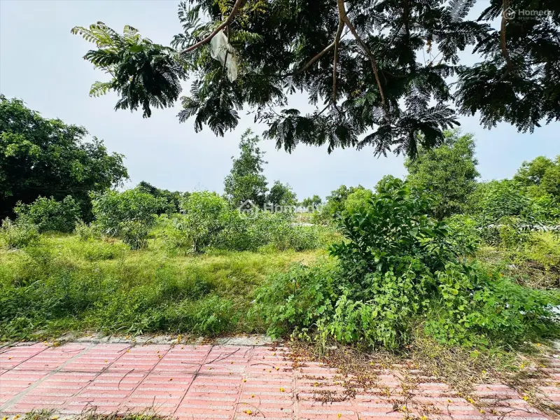 Bán Đất Odt Mặt Tiền Lê Minh Công - Phước Lộc - Lagi Giảm 40% Chỉ 1.7 Tỷ