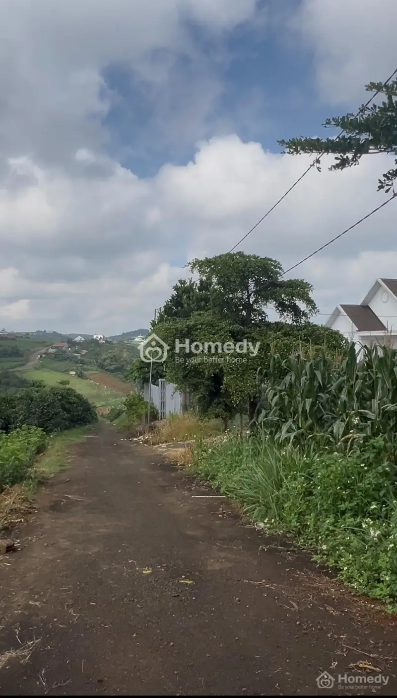 Phường 1 - Thành Phố Bảo Lộc 500M2 Giá 1,2 Tỷ Bán Gấp