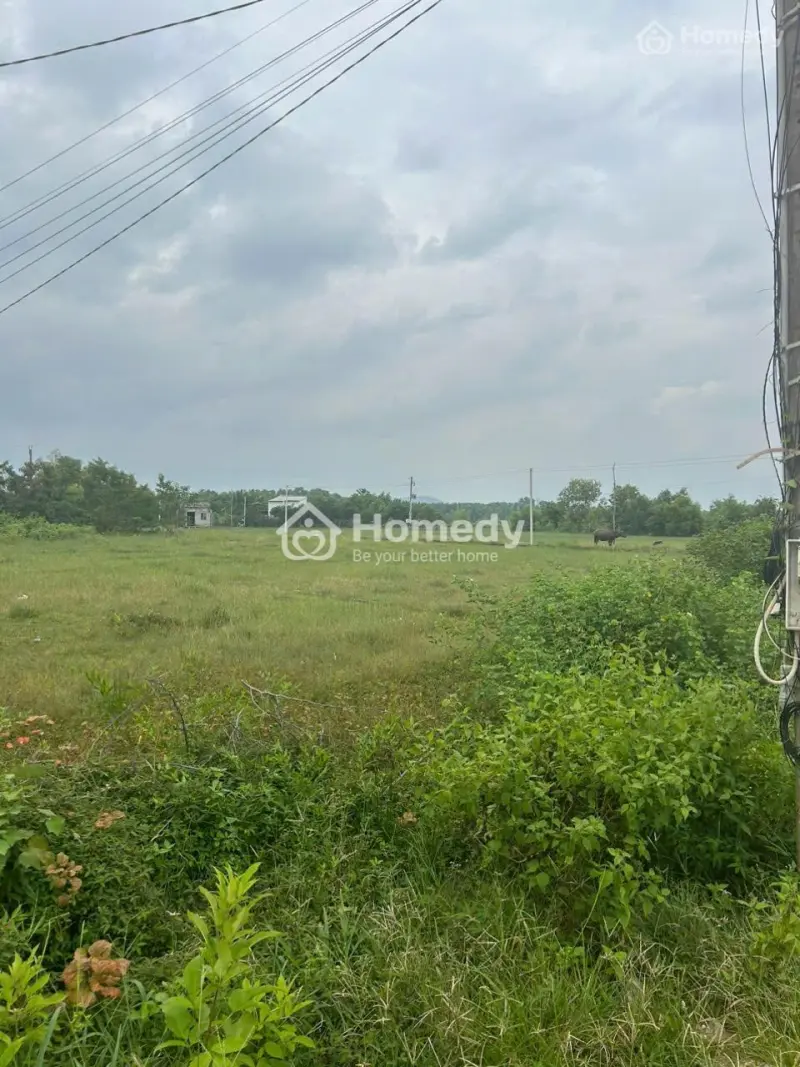 Bán 10M X 26M Đất Hẻm Nguyễn Thông- Tân Bình - Lagi Giá Ngộp 1.5 Tỷ