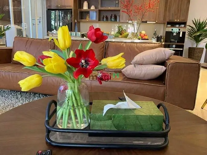 Biệt Thự Mỹ Thái 1 Cần Bán Có Vị Trí Nằm Kế Bên Công Viên Nam Viên Pmh