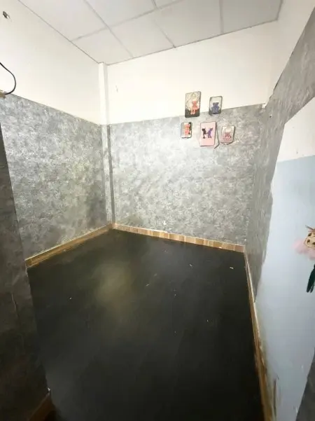 Phòng Tầng Trệt, Tolet Riêng , Có Cửa Sổ Khu An Ninh. Có Sân Để Xe Trong Nhà Free 1Xe