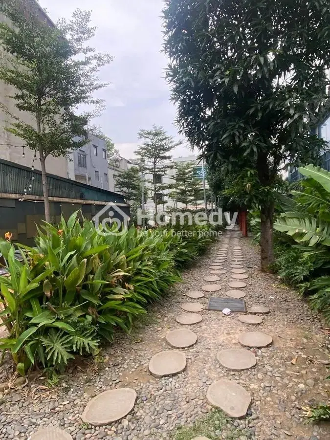 Bán Nhà Mặt Phố Vũ Tông Phan Xây Building Tòa Nhà Văn Phòng Dt 1116M X Mt 12M Giá Chào 205 Tỷ