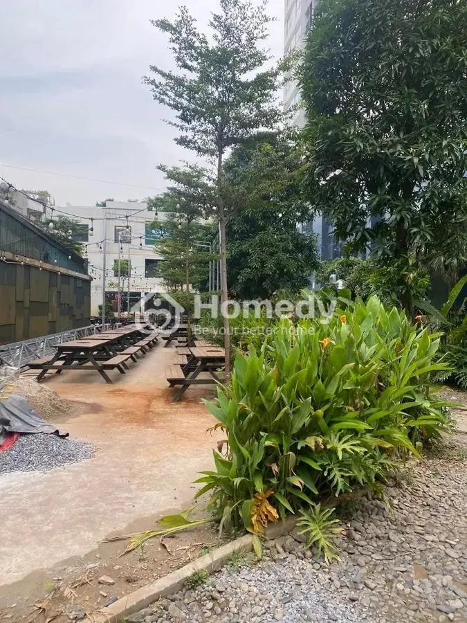 Bán Nhà Mặt Phố Vũ Tông Phan Xây Building Tòa Nhà Văn Phòng Dt 1116M X Mt 12M Giá Chào 205 Tỷ