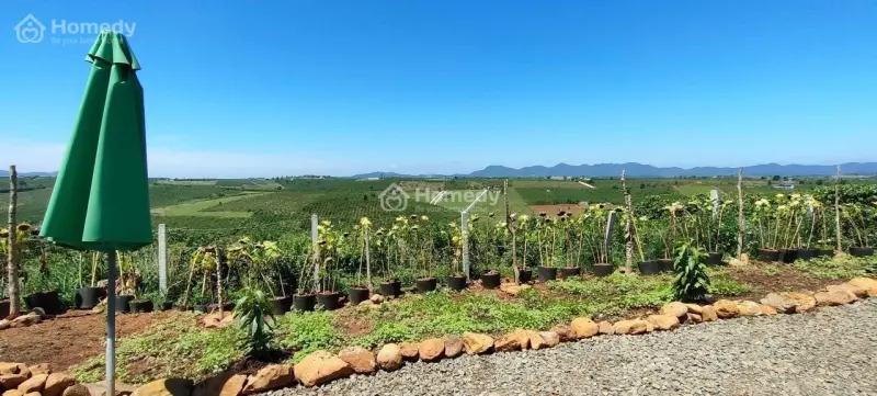 3,800M2 Để Làm Homestay Kế Bên Homestay 21 Lộc Quảng, Giá 2,5 Tỷ