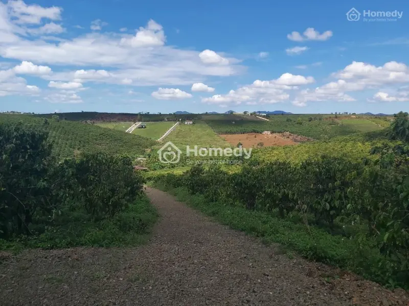 3,800M2 Để Làm Homestay Kế Bên Homestay 21 Lộc Quảng, Giá 2,5 Tỷ