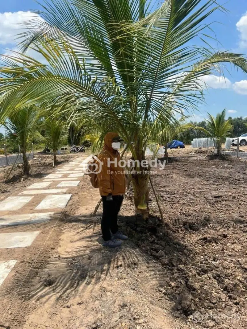 🔥Giá Bán: 1 Tỷ 150 Sở Hữu Ngay Đất Vườn Tại Gò Dầu, Tây Ninh Với 1000M2, Sẵn Thổ Cư 100M2🔥