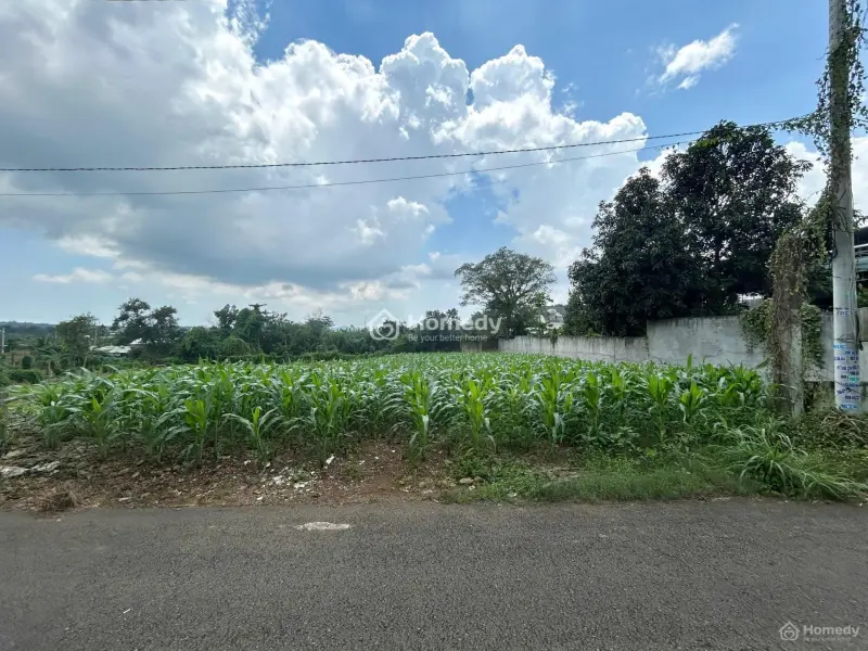 Em Bán Gấp Giá Rẻ Lô Đất Chính Chủ Dt: 660M2 - 100Tc Nằm Tại Nghĩa Thành, Huyện Châu Đức (Brvt Cũ)