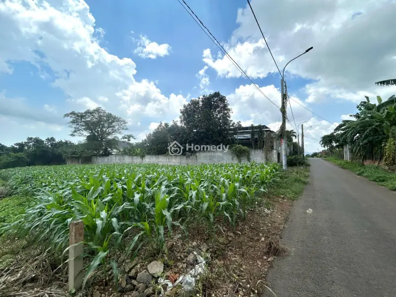 Em Bán Gấp Giá Rẻ Lô Đất Chính Chủ Dt: 660M2 - 100Tc Nằm Tại Nghĩa Thành, Huyện Châu Đức (Brvt Cũ)