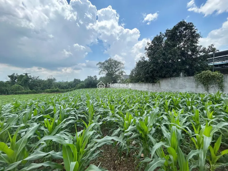 Em Bán Gấp Giá Rẻ Lô Đất Chính Chủ Dt: 660M2 - 100Tc Nằm Tại Nghĩa Thành, Huyện Châu Đức (Brvt Cũ)