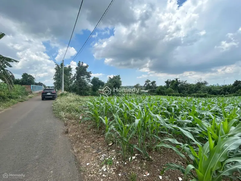 Em Bán Gấp Giá Rẻ Lô Đất Chính Chủ Dt: 660M2 - 100Tc Nằm Tại Nghĩa Thành, Huyện Châu Đức (Brvt Cũ)